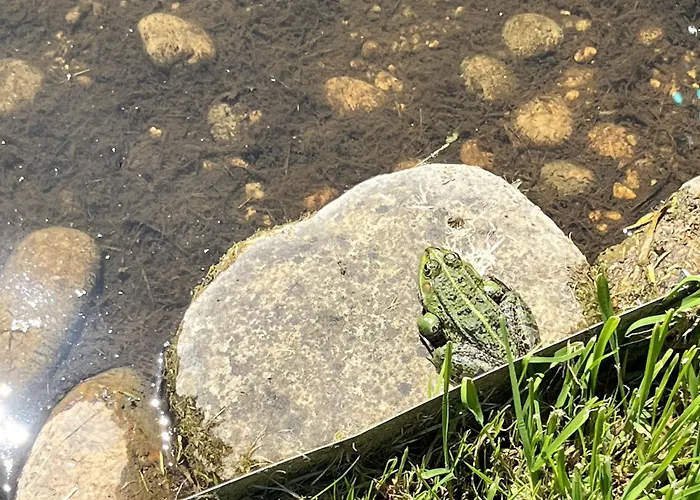 Bed and Breakfast La Du 3*